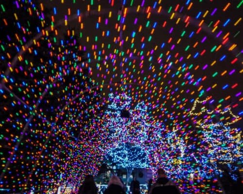 Bentleyville Tour of Lights Tunnel