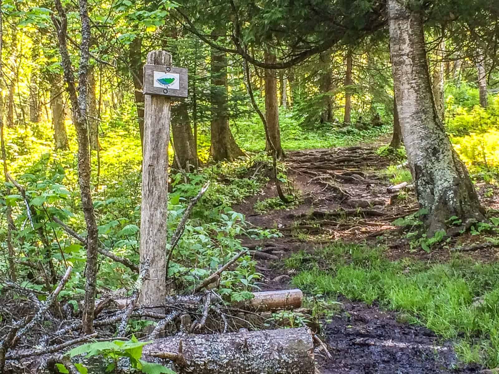 Superior Hiking Trail and Ski Trails at Cascade River State Park