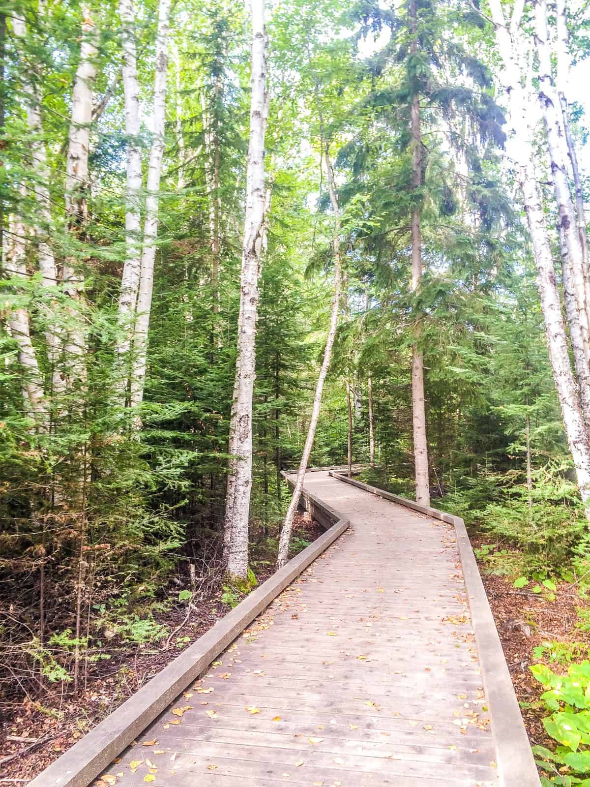 Accessible Hiking Trails at Grand Portage State Park