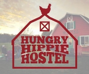 Hungry Hippie Hostel Medium Rectangle Ad