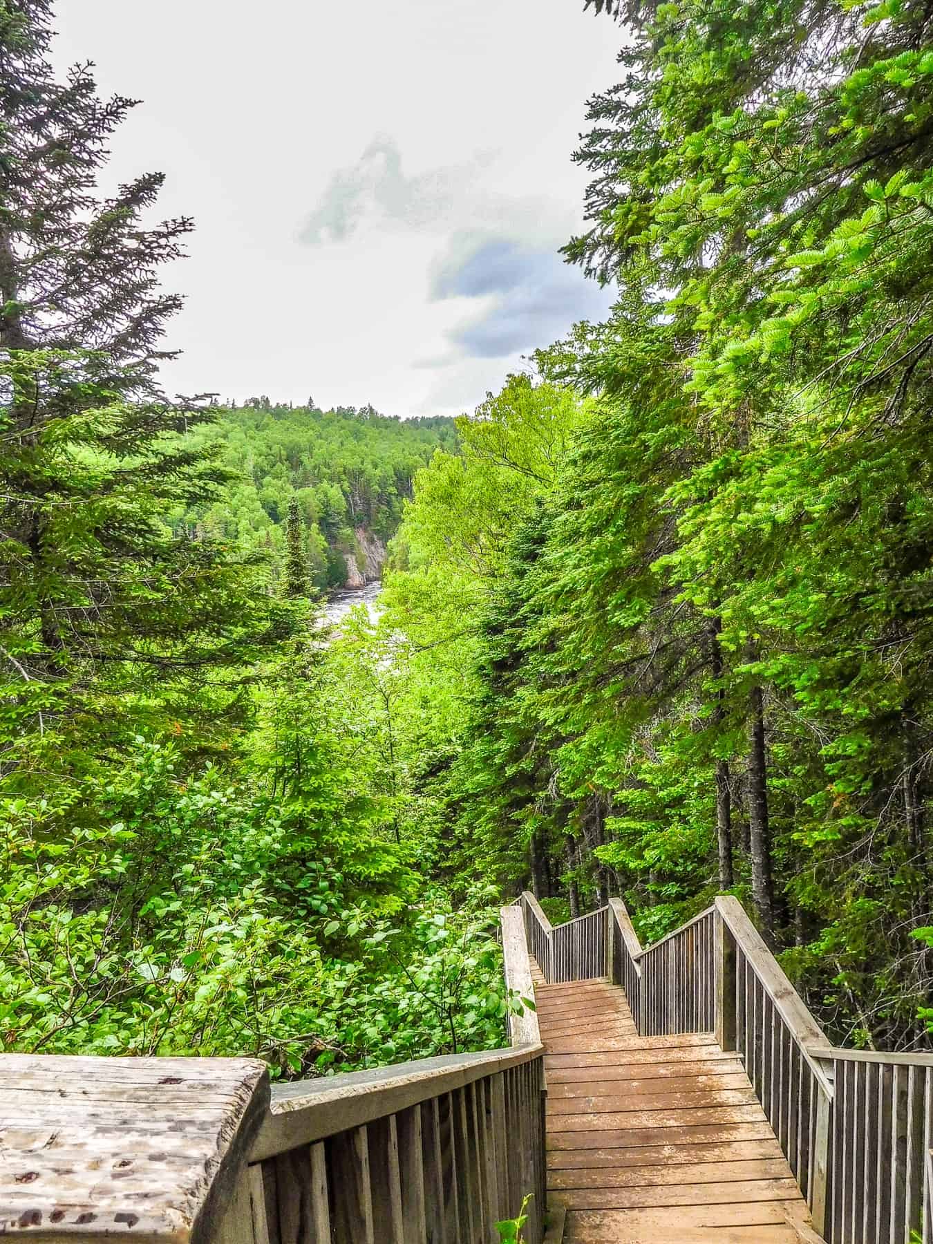 Stairs on the hike to Devils Kettle Waterfall