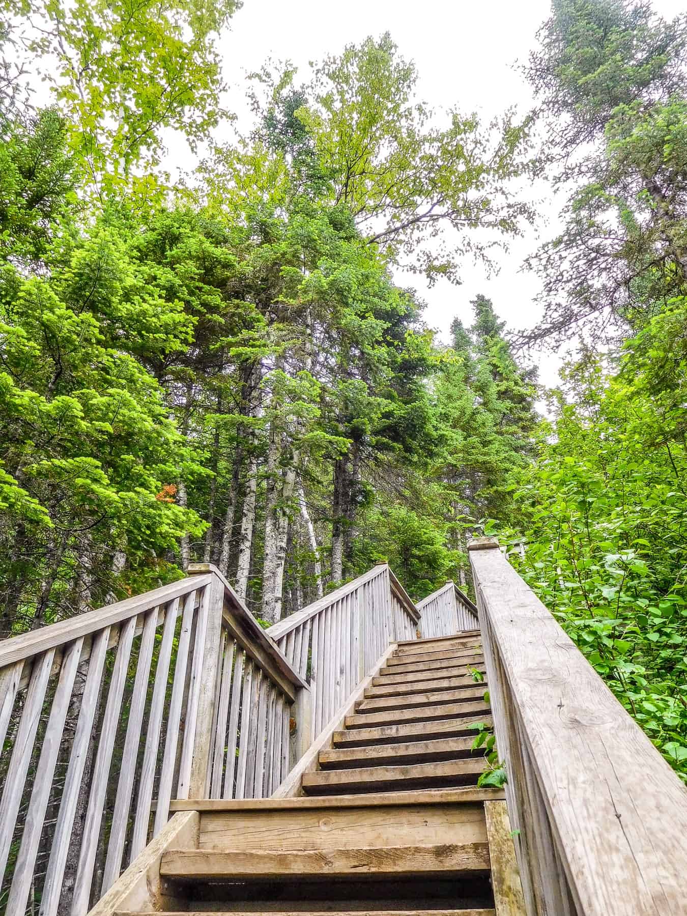 The hike to the Devils Kettle Waterfall in Judge CR Magney State Park requires many stairs