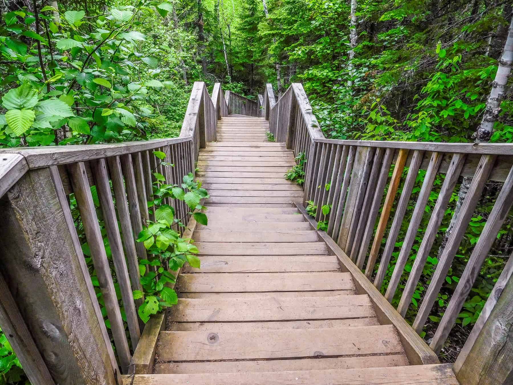 The hike to the Devils Kettle Waterfall includes many stairs