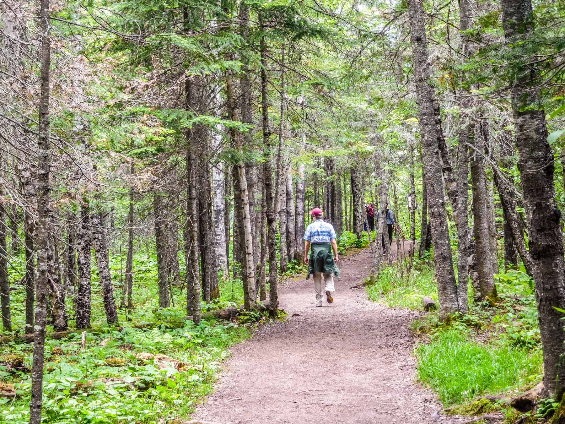 Hike to the Devils Kettle Waterfall