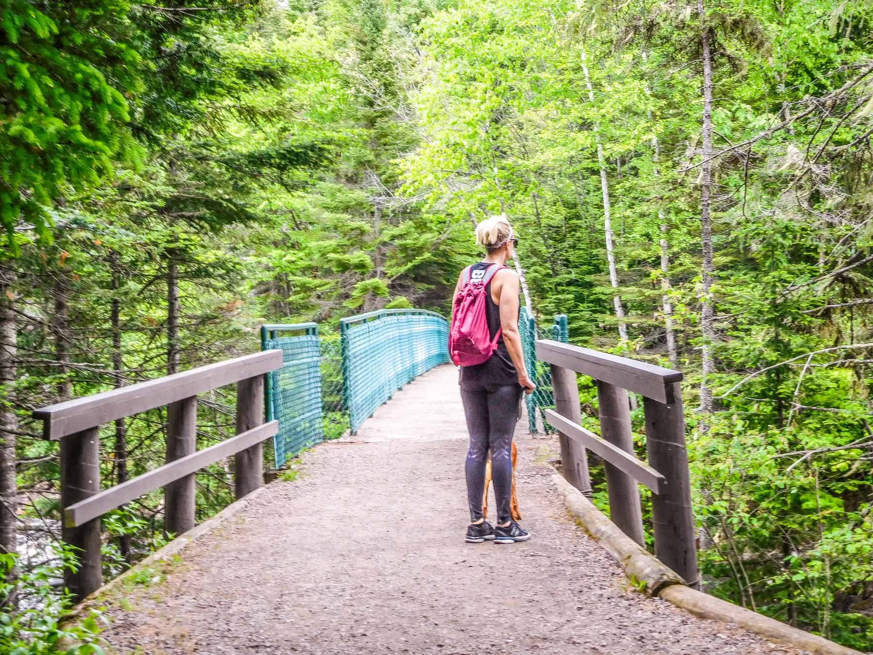 Take a hike at Judge CR Magney State Park near Hovland Minnesota