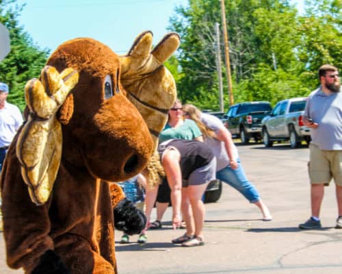 Visit Cook County's Murray the Moose