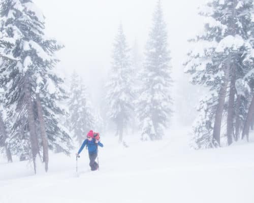 Powder days make for great snowshoeing adventures