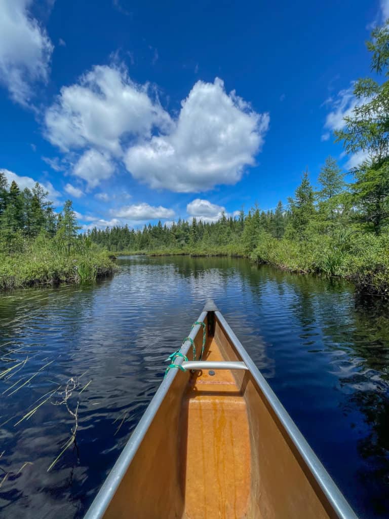 Mindful Paddle with Points Unknown