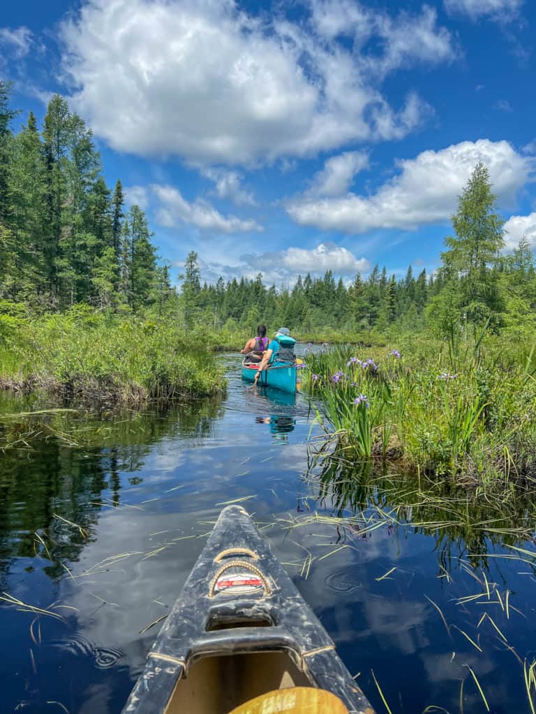 Mindful Paddle with Points Unknown