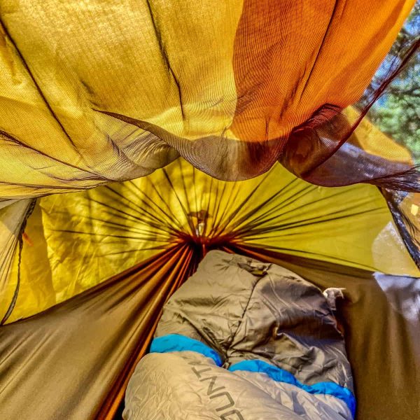 Inside the Hammock